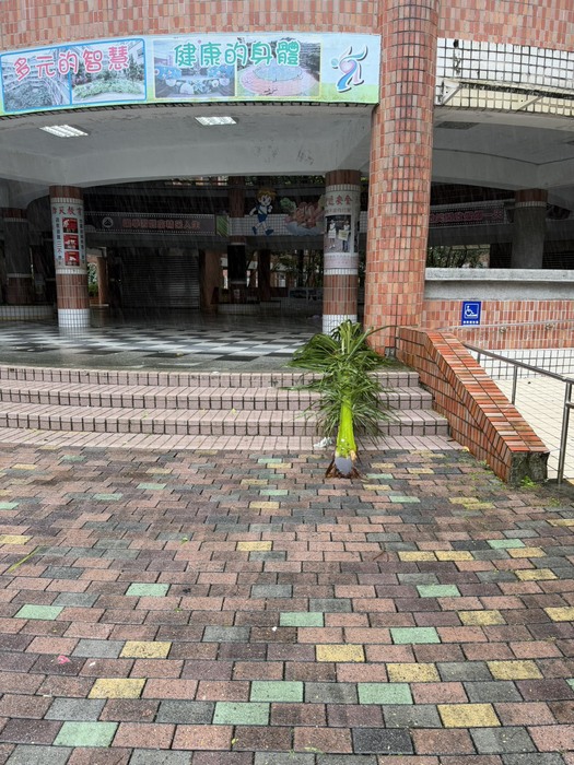 照片